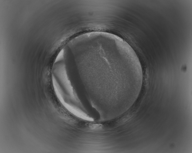 X0000115670355200912241424