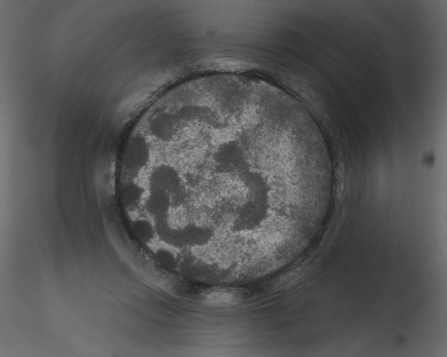 X0000115670358200912241424