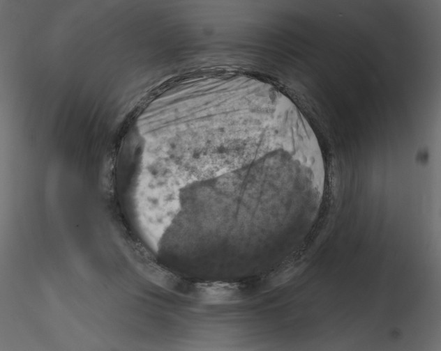 X0000115670359200912241424