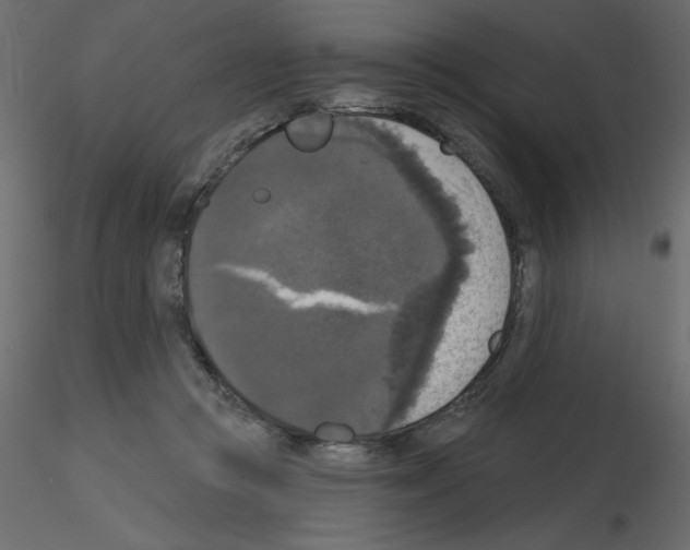 X0000115670361200912241424