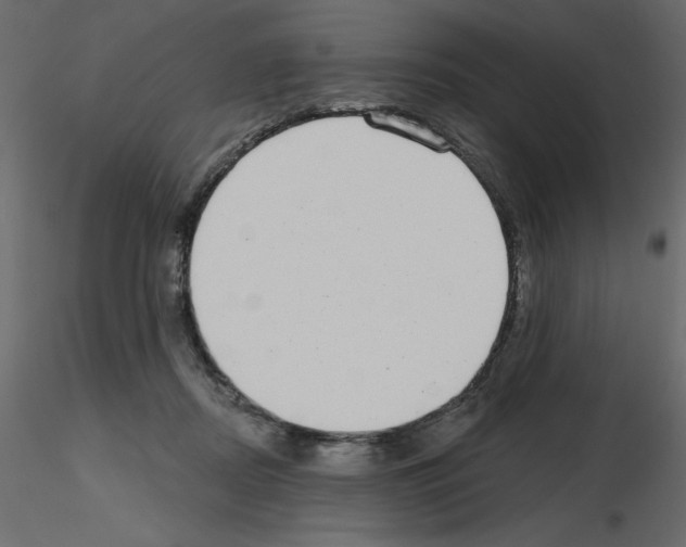 X0000115670362200912241424