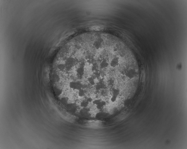 X0000115670363200912241424