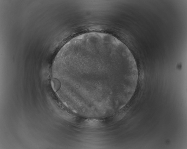 X0000115670367200912241424