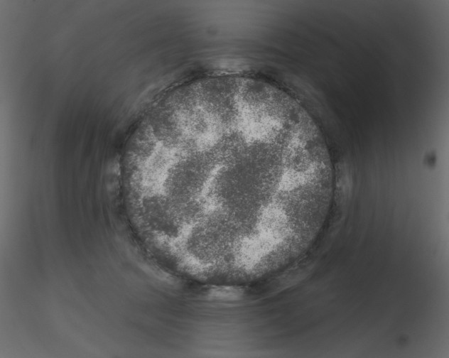 X0000115670369200912241425