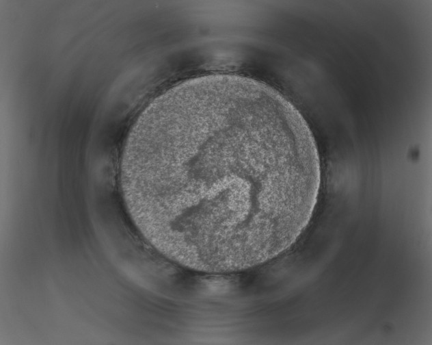 X0000115670370200912241425