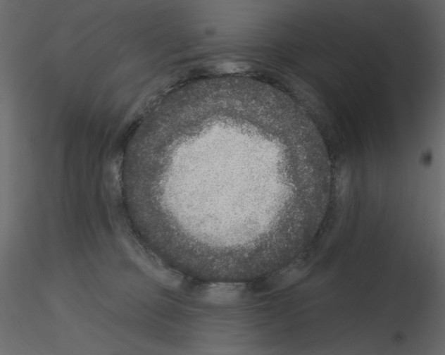 X0000115670373200912241425