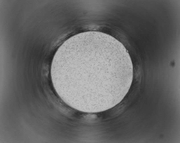 X0000115670374200912241425