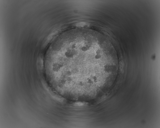 X0000115670375200912241425