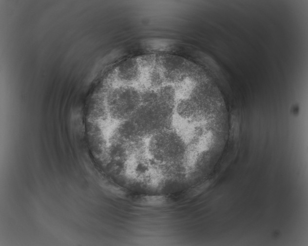 X0000115670377200912241425