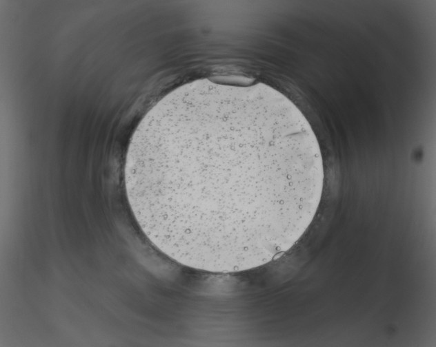 X0000115670379200912241425