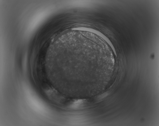 X0000115670382200912241425