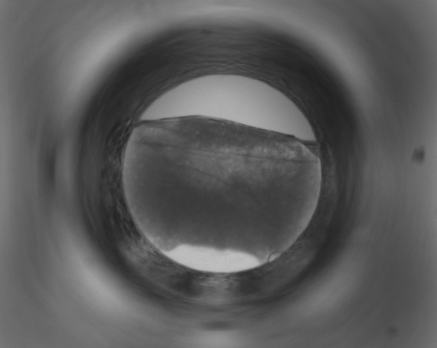 X0000115670383200912241425