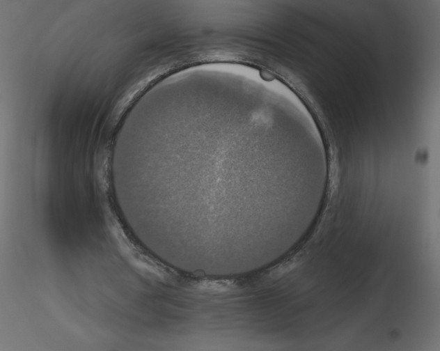 X0000115670386200912241424