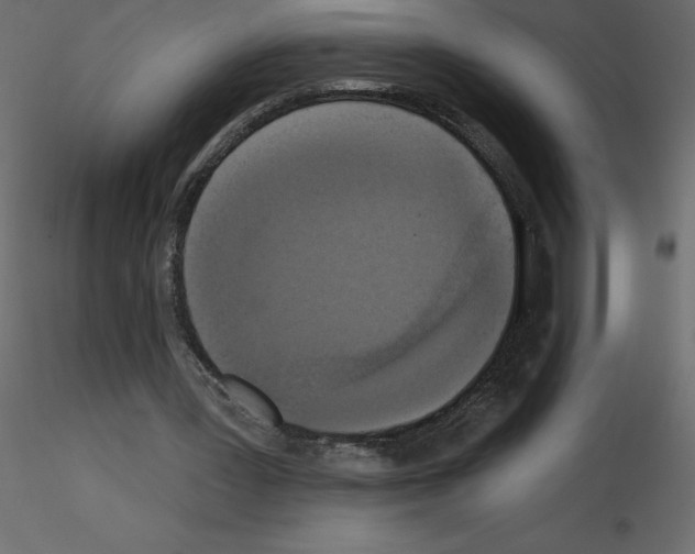 X0000115670387200912241424