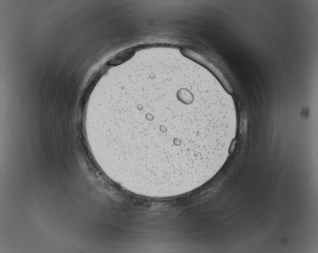 X0000115670388200912241424