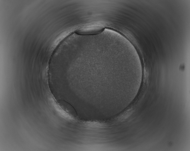 X0000115670389200912241424