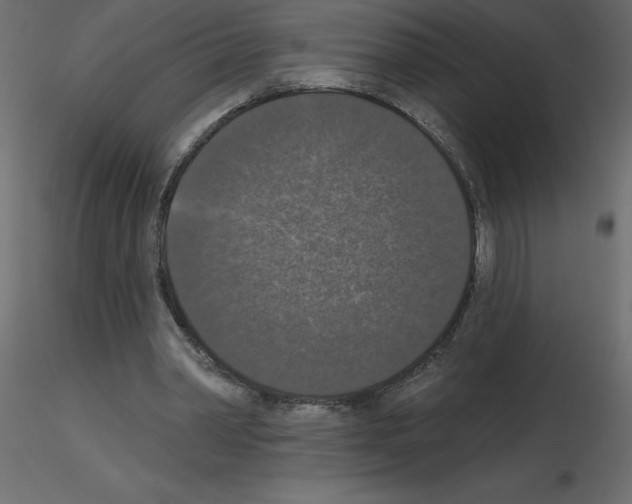 X0000115670390200912241424