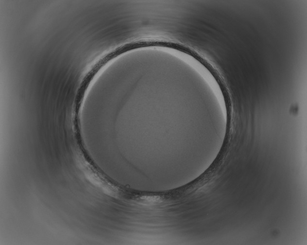 X0000115670391200912241424