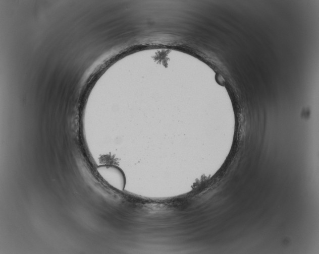 X0000115670392200912241424