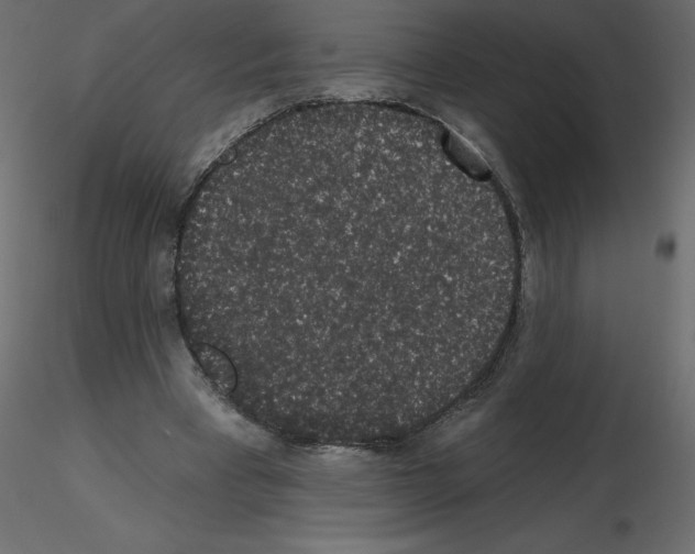 X0000115670393200912241424