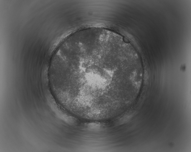 X0000115670394200912241424