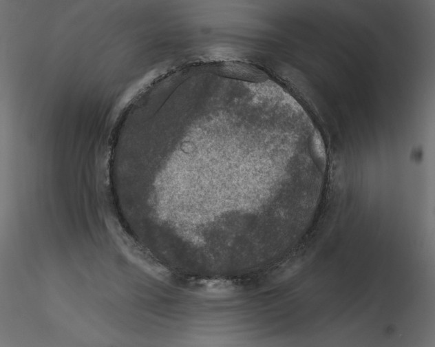 X0000115670395200912241424