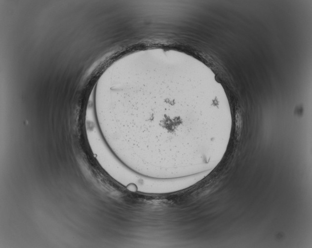 X0000115670396200912241424