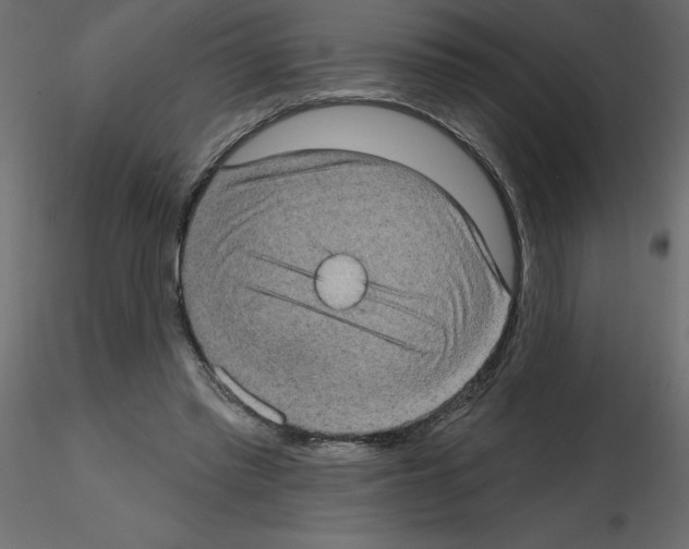 X0000115670397200912241424