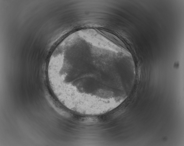 X0000115670398200912241424