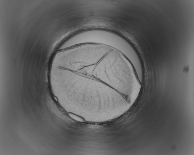 X0000115670399200912241424