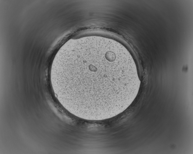 X0000115670400200912241424