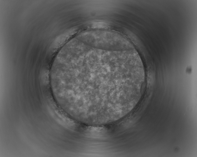 X0000115670401200912241424