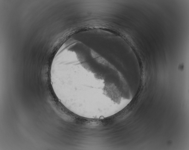 X0000115670402200912241424