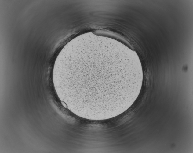 X0000115670404200912241424