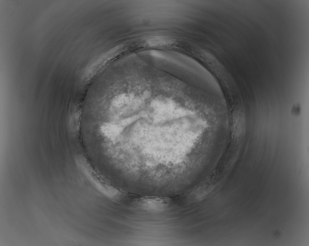 X0000115670405200912241424