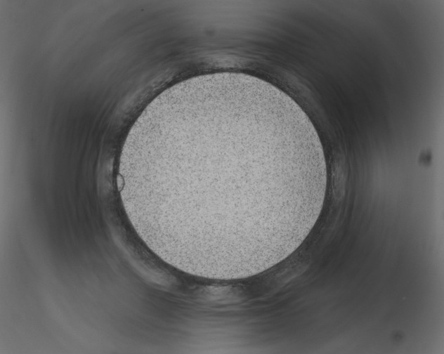 X0000115670406200912241424