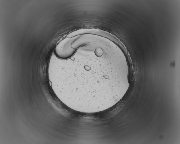 X0000115670408200912241424