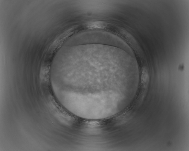 X0000115670409200912241424