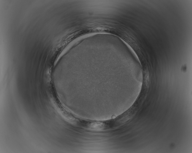 X0000115670410200912241424