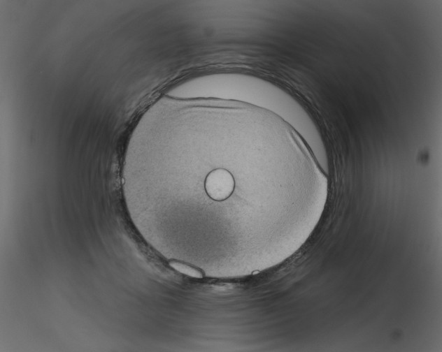 X0000115670411200912241424