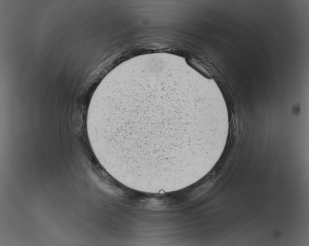 X0000115670412200912241424