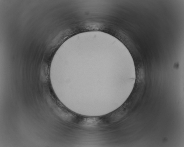 X0000115670414200912241424