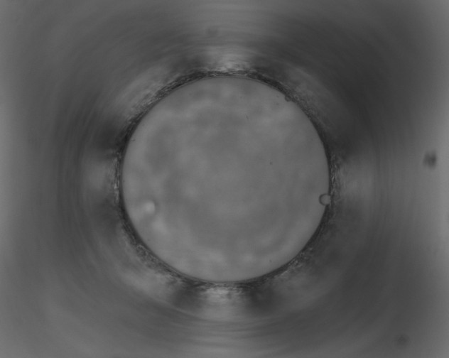 X0000115670415200912241424