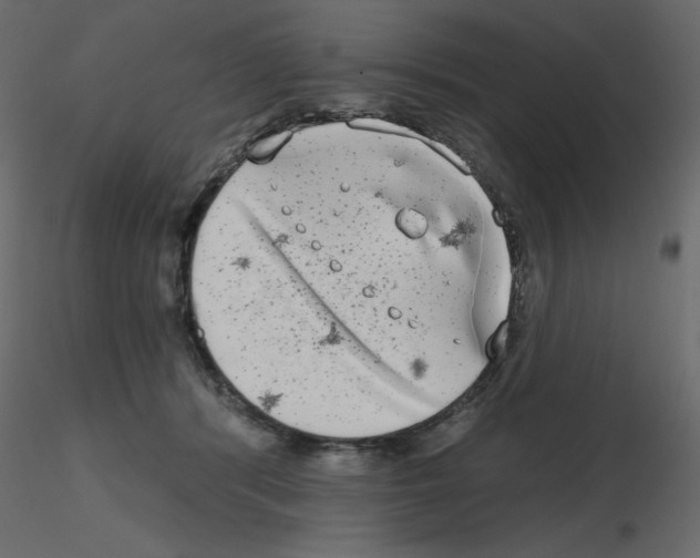 X0000115670416200912241424