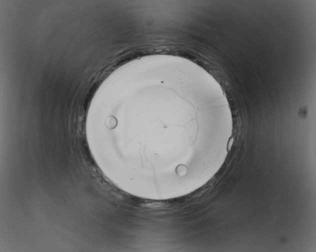 X0000115670417200912241424