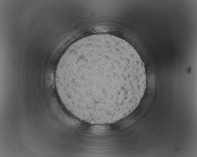 X0000115670418200912241424