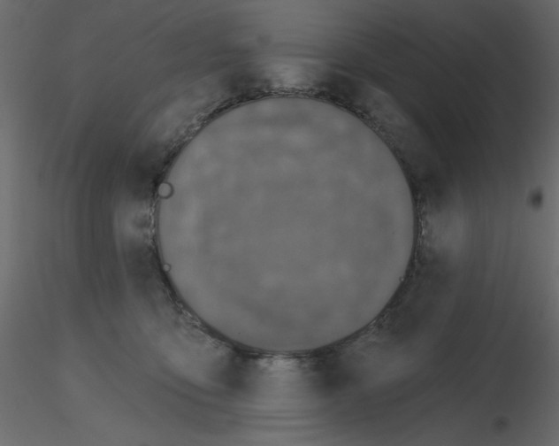 X0000115670419200912241424