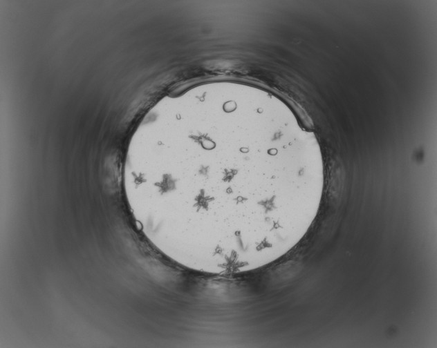 X0000115670420200912241424