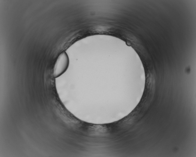 X0000115670421200912241424