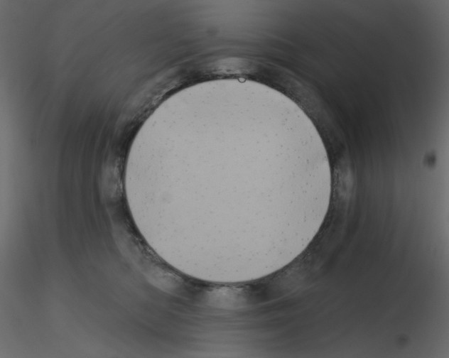 X0000115670422200912241424